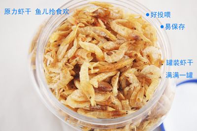 龍魚一直喂蝦干（龍魚一直喂蝦干會導(dǎo)致其生長緩慢） 龍魚百科 第3張