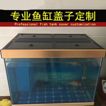 龍魚魚缸水面距魚缸蓋高度（龍魚魚缸水面距魚缸蓋的高度） 龍魚百科 第1張