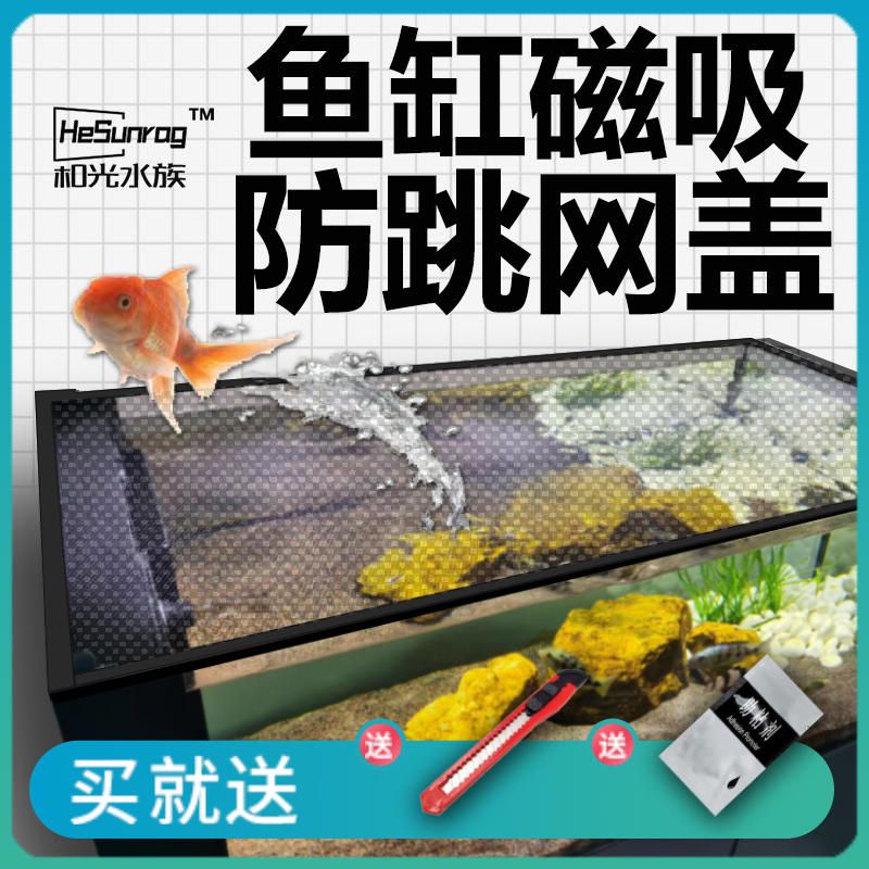 龍魚魚缸水面距魚缸蓋高度（龍魚魚缸水面距魚缸蓋的高度） 龍魚百科 第2張