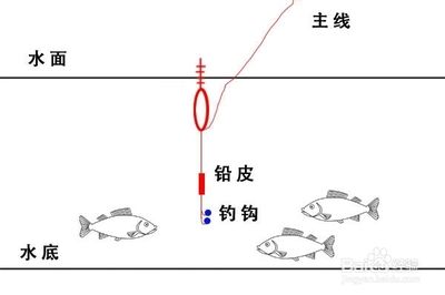 龍魚(yú)一直漂在水面（龍魚(yú)一直漂在水面怎么辦）