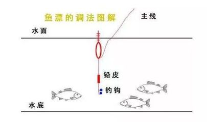 龍魚一直漂在水面（龍魚一直漂在水面怎么辦） 龍魚百科 第4張