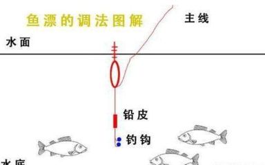 龍魚一直漂在水面（龍魚一直漂在水面怎么辦） 龍魚百科 第3張