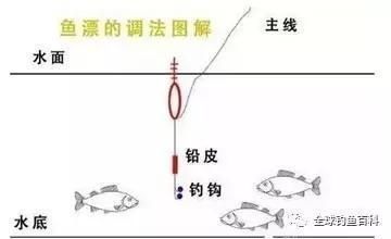 龍魚一直漂在水面（龍魚一直漂在水面怎么辦） 龍魚百科 第2張