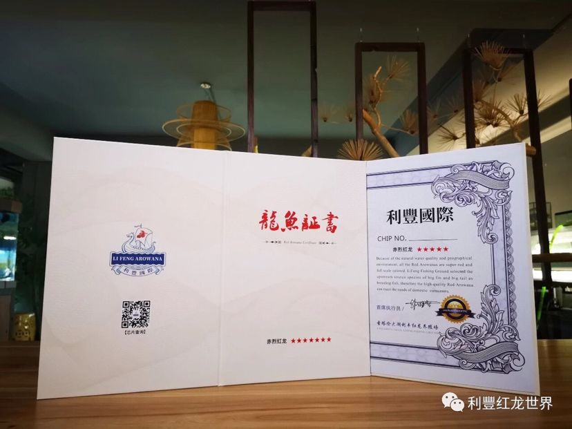 龍魚證書查詢?nèi)肟冢ㄈ绾尾樵凖堲~證書） 龍魚百科 第5張