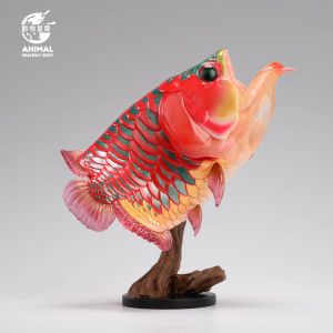 龍魚總是張嘴閉嘴是什么情況（龍魚總是張嘴閉嘴怎么回事） 龍魚百科 第1張