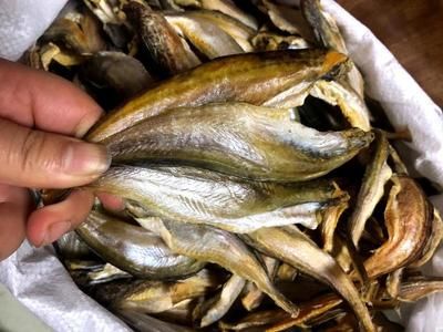 龍魚與黃魚區(qū)別？（龍魚與黃魚有什么區(qū)別） 龍魚百科 第5張