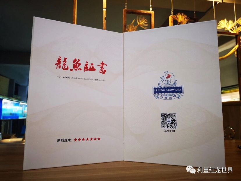 龍魚證書號碼查詢官網(wǎng)（如何查詢龍魚證書號碼） 龍魚百科 第5張