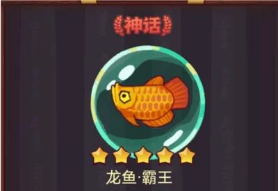 龍魚魚友微信群（龍魚魚友微信群養(yǎng)殖技巧和注意事項和注意事項） 龍魚百科 第5張