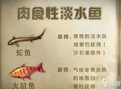 明日之后龍魚（《明日之后》如何在游戲中獲取龍魚以及龍魚用途）