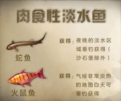 明日之后龍魚（《明日之后》如何在游戲中獲取龍魚以及龍魚用途） 龍魚百科 第2張