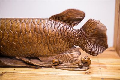 濡沫江湖 金龍魚（《濡沫江湖》金龍魚可以通過特定的方式獲取方法獲得） 龍魚百科 第1張