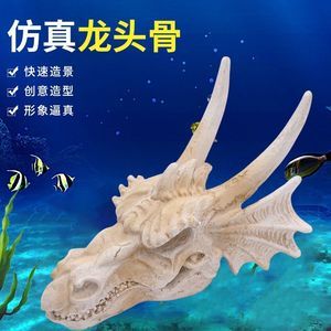 三角龍魚多少錢一只（三角魚多少錢一只） 龍魚百科 第1張