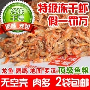 如何訓(xùn)練龍魚吃蝦干視頻（如何訓(xùn)練龍魚吃蝦干） 龍魚百科 第4張