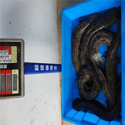 汕頭杜龍魚一斤多少錢（在汕頭，杜龍魚的價格有所不同,在一家海鮮火鍋店） 龍魚百科 第3張