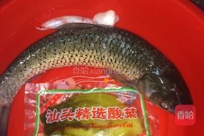 汕頭杜龍魚一斤多少錢（在汕頭，杜龍魚的價格有所不同,在一家海鮮火鍋店） 龍魚百科 第5張