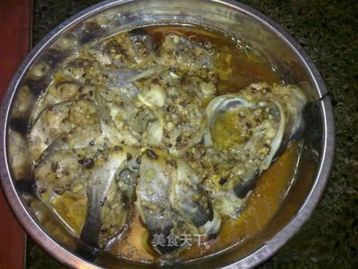 盤龍魚是什么魚（盤龍魚是一種怎樣的魚？） 龍魚百科 第2張