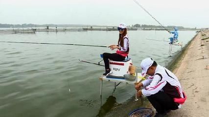 濡沫江湖金龍魚在哪里釣幾率最高（《濡沫江湖》中釣金龍魚的最佳地點是成都郊外的池塘） 龍魚百科 第1張