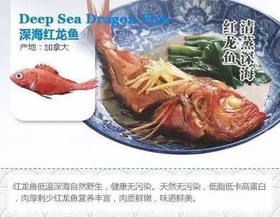 斑馬狗頭魚和龍魚混養(yǎng)好嗎（如果決定將斑馬狗頭魚和龍魚混養(yǎng)，需要采取哪些措施來(lái)確保兩種魚類的和諧共處？）