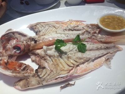 目龍魚（潮汕目龍魚的學(xué)名可能是cynoglossussemilaevis）