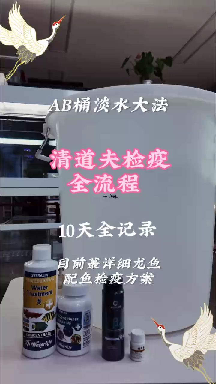 最全龍魚配魚及清道夫檢疫方法（清道夫檢疫最全方法!） 觀賞魚論壇