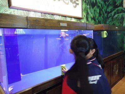 祥龍魚場有限公司官網(wǎng)天津（天津水族批發(fā)市場祥龍魚場地址查詢） 龍魚百科 第4張