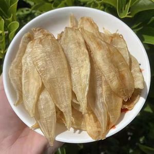 小金龍魚膠有須沒須區(qū)別（小金龍魚膠有須和沒須和沒須的區(qū)別主要體現(xiàn)在以下幾個方面） 龍魚百科 第4張