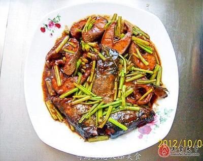 烏龍魚(yú)（烏龍魚(yú)是一種什么樣的魚(yú)？）