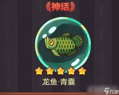 咸魚之王龍魚可以釣到嘛（《咸魚之王》可以通過釣魚的方式獲得龍魚青龍，需要注意的是） 龍魚百科 第5張