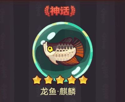 咸魚之王龍魚可以釣到嘛（《咸魚之王》可以通過釣魚的方式獲得龍魚青龍，需要注意的是） 龍魚百科 第4張