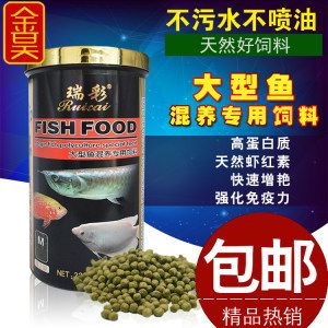 銀龍魚吃蝦紅素（銀龍魚吃蝦紅素嗎） 龍魚百科 第4張