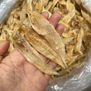 小金龍魚膠是什么魚的膠（女性身體里最重要的一個魚膠，女性平時多食用） 龍魚百科 第1張