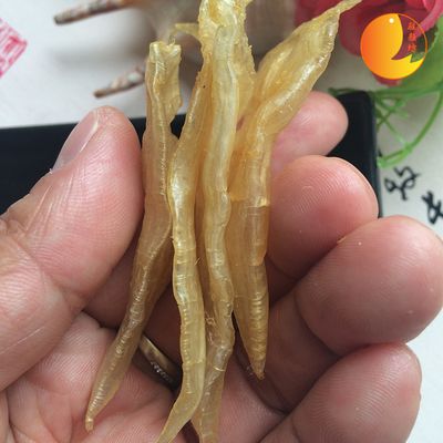 小金龍魚膠腥嗎（小金龍魚膠在魚膠中算是腥味稍微比較重的） 龍魚百科 第1張