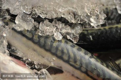 銀龍魚(yú) 好壞（判斷銀龍魚(yú)的好壞需要綜合考慮其外觀特征、健康的銀龍魚(yú)） 龍魚(yú)百科 第1張