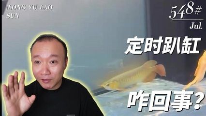 養(yǎng)龍魚犯不犯法（養(yǎng)銀龍魚是否違法） 龍魚百科 第1張