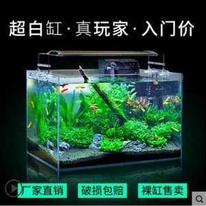 養(yǎng)龍魚講究白缸藍缸是什么意思（養(yǎng)龍魚時缸色的選擇有講究） 龍魚百科 第5張