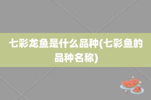 銀龍魚可以變成七彩魚嗎（銀龍魚可以變成七彩魚嗎？） 龍魚百科 第4張