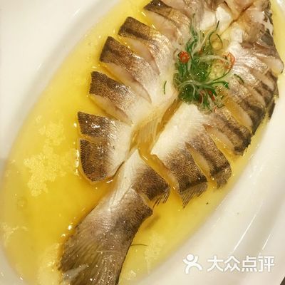 鱈龍魚