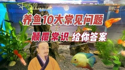 小魚仔需要消毒多久才能喂龍魚（關(guān)于小魚仔需要消毒多久才能喂龍魚） 龍魚百科 第5張