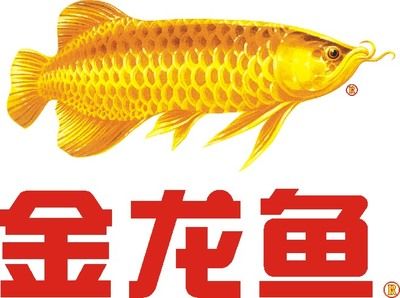 銅陵金龍魚銅陵總代理 龍魚百科 第2張