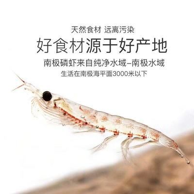 銀龍魚不吃南極磷蝦（銀龍魚可以吃南極磷蝦嗎？） 龍魚百科 第2張