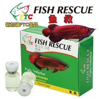 新加坡紅龍魚會發(fā)色嗎（新加坡紅龍魚發(fā)色過程和影響因素新加坡紅龍魚發(fā)色過程和影響因素） 龍魚百科 第1張