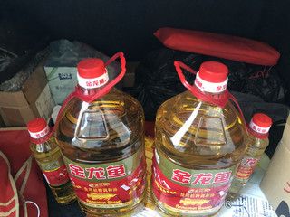 徐州金龍魚食用油代理商 龍魚百科 第3張