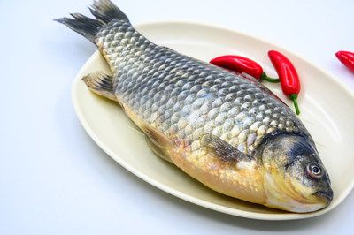 野生鯽魚(yú)能跟龍魚(yú)一起養(yǎng)嗎（野生鯽魚(yú)與龍魚(yú)可以一起養(yǎng)嗎？） 龍魚(yú)百科 第5張