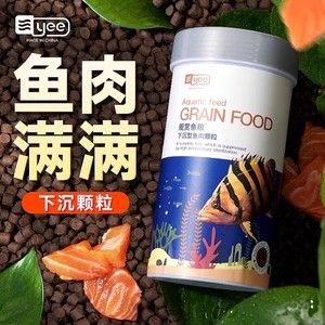 銀龍魚可以喂錦鯉飼料嗎（銀龍魚可以吃錦鯉嗎？） 龍魚百科 第4張