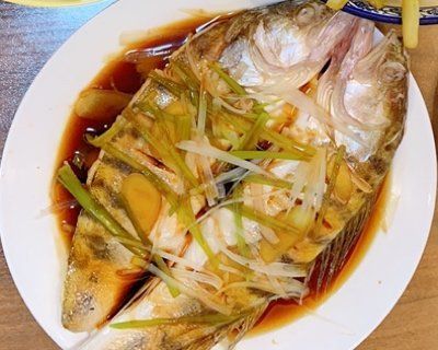 雪龍魚(yú)是海魚(yú)還是河魚(yú)（(iucn)易危物種雪龍魚(yú)）