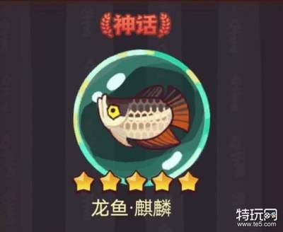 咸魚之王龍魚能釣到嗎（《咸魚之王》龍魚青龍可以通過釣魚活動(dòng)捕捉各種魚靈） 龍魚百科 第3張