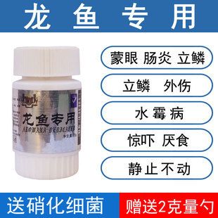 銀龍魚細(xì)菌性腸炎用什么藥（如何治療銀龍魚細(xì)菌性腸炎） 龍魚百科 第2張