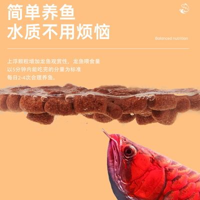 銀龍魚水質(zhì)的標準（關(guān)于銀龍魚水質(zhì)標準的詳細信息）