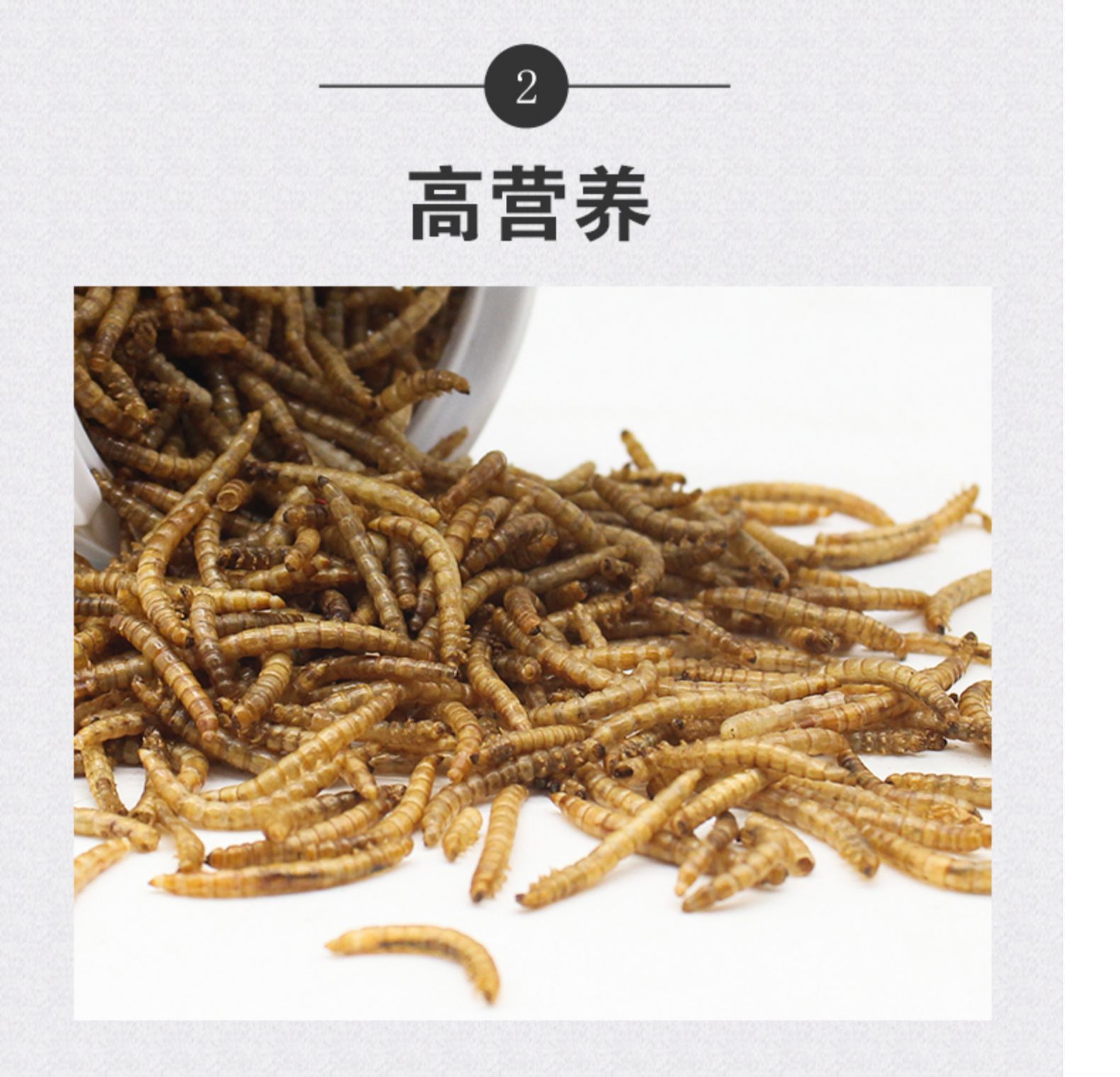 銀龍魚(yú)面包蟲(chóng)好吃還是大麥蟲(chóng)好吃（銀龍魚(yú)吃面包蟲(chóng)好還是吃大麥蟲(chóng)好） 龍魚(yú)百科 第4張