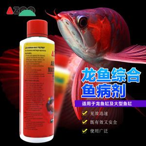 銀龍魚所需所有用品（銀龍魚所需的主要用品） 龍魚百科 第3張